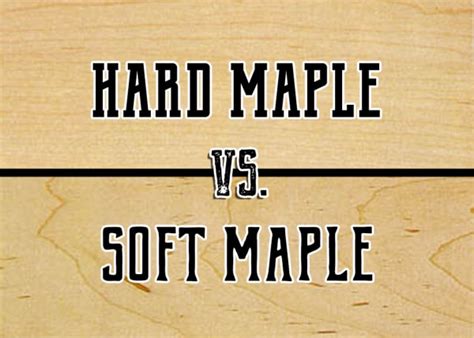 maple soft test|hard vs soft maple tree.